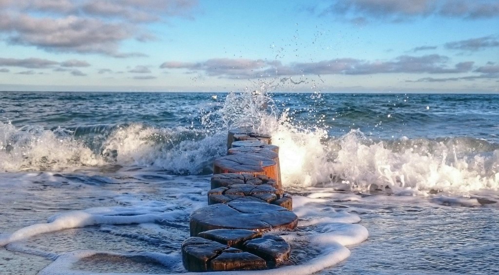 Holzbuhnen am Strand von Zingst an der Ostsee